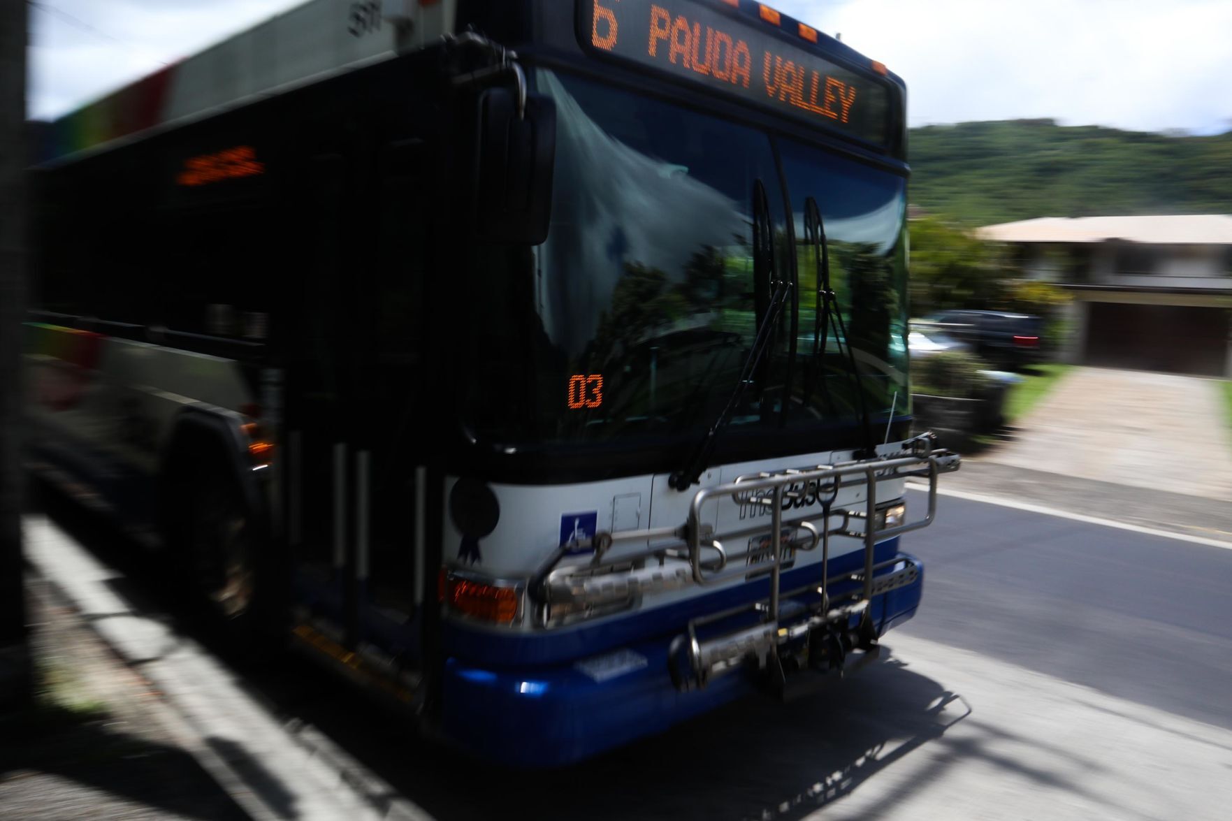 The Bus .jpg